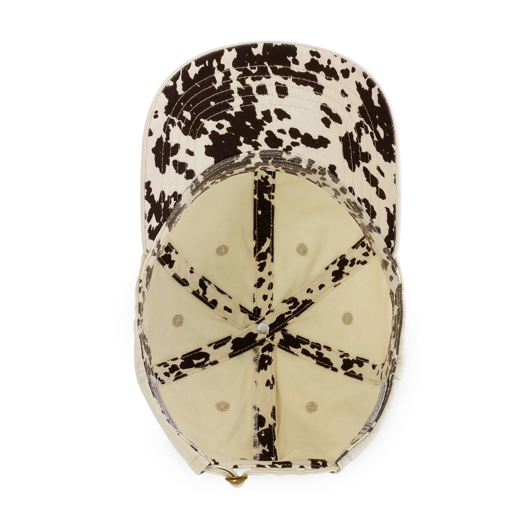 #color_Vanilla / Longhorn